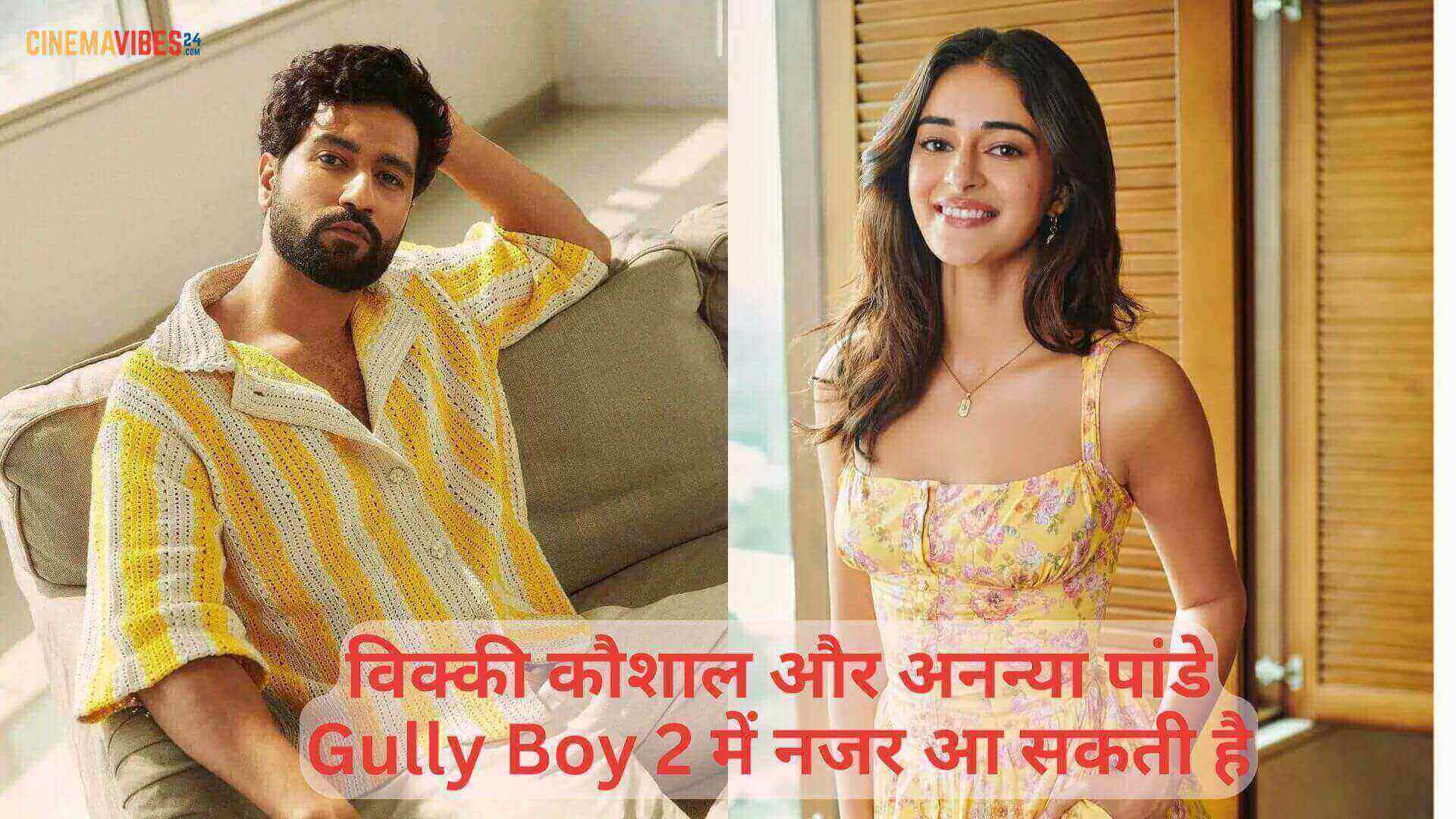 विक्की कौशाल और अनन्या पांडे Gully Boy 2 में नजर आ सकती है | Gully Boy sequel